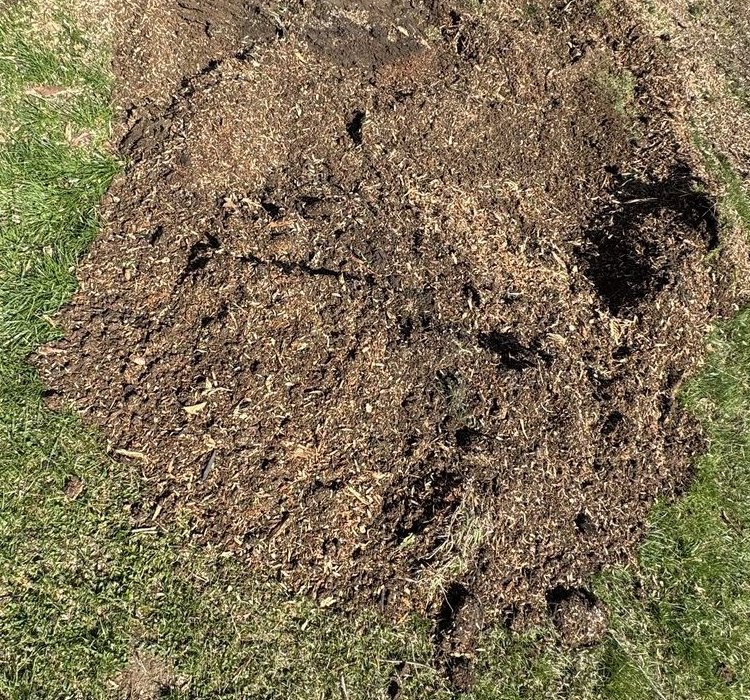 Stump ground below grade